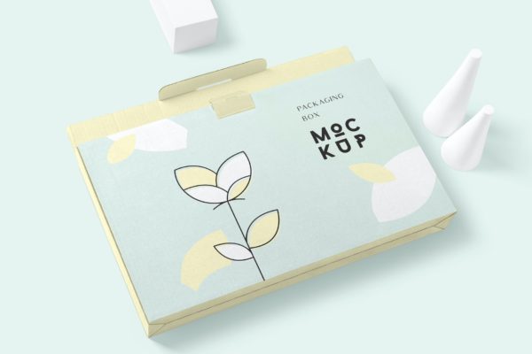 6款矩形产品包装盒设计展示贴图样机模板 6 Rectangular Packaging Box Mockups