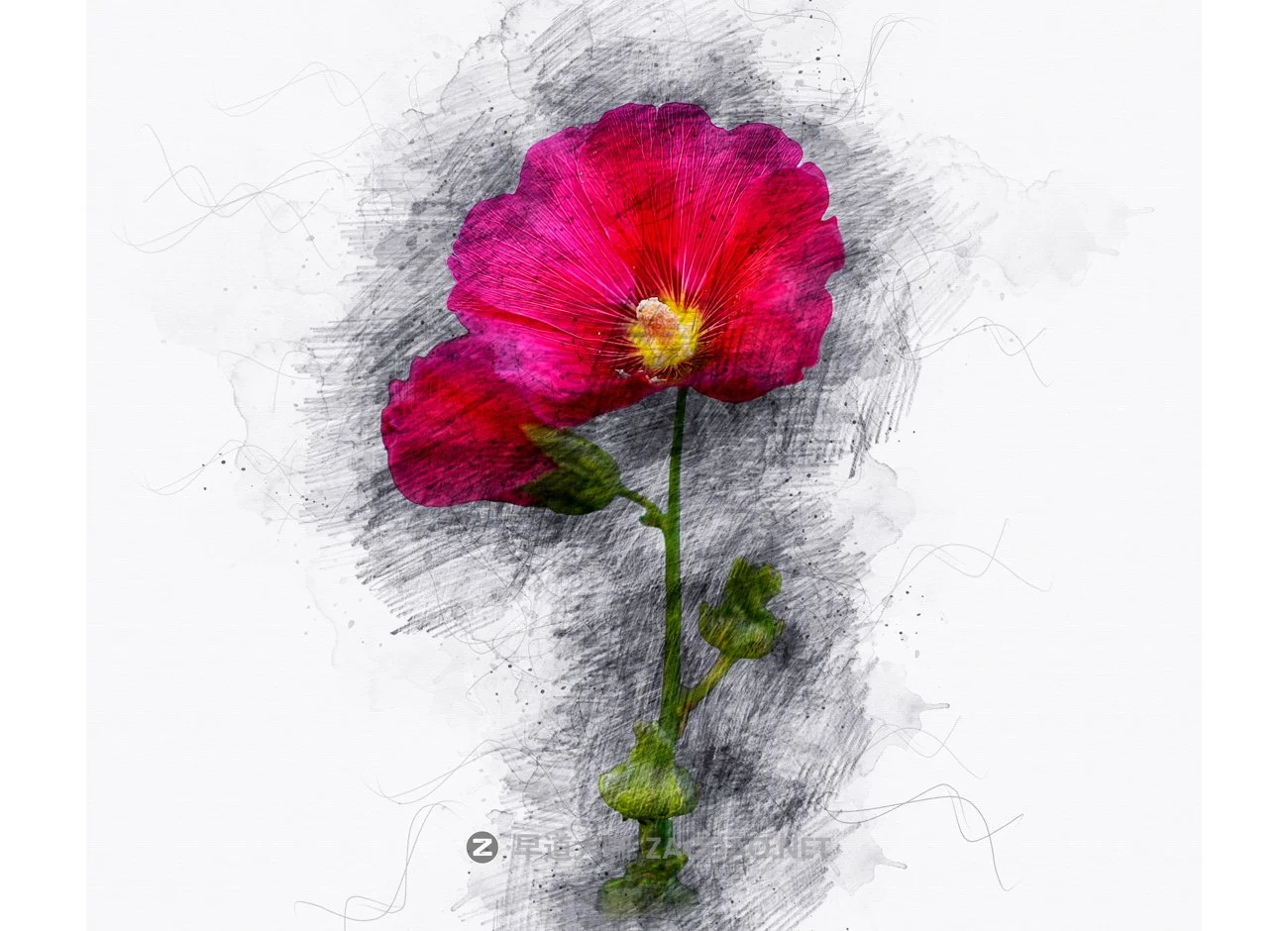 绘画素描效果照片后期处理特效PS动作模板 Painting Sketch Photoshop Action插图12 绘画素描效果照片后期处理特效PS动作模板 Painting Sketch Photoshop Action插图12