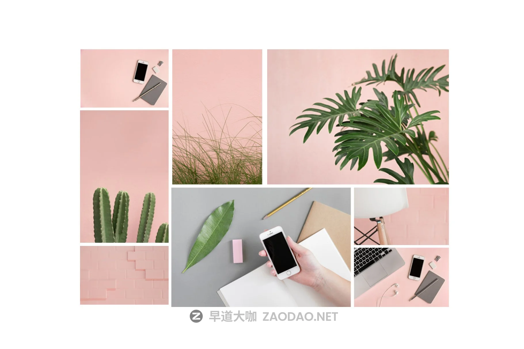 粉色柔和自适应网站界面设计苹果设备屏幕演示样机 Pink & Botanical Stock Photo Bundle插图2 粉色柔和自适应网站界面设计苹果设备屏幕演示样机 Pink & Botanical Stock Photo Bundle插图2