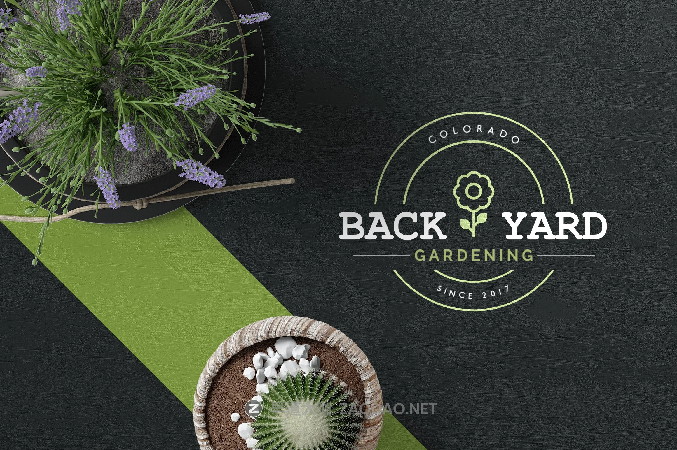 600+徽标标志LOGO设计矢量模板素材 Mega Bundle – 600 Logo Templates插图3 600+徽标标志LOGO设计矢量模板素材 Mega Bundle – 600 Logo Templates插图3