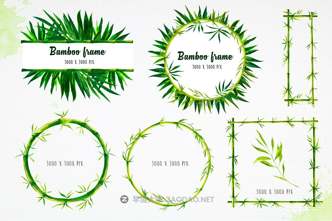 清爽绿色竹子手绘插画设计素材 Bamboo Watercolor Illustrations插图4 清爽绿色竹子手绘插画设计素材 Bamboo Watercolor Illustrations插图4