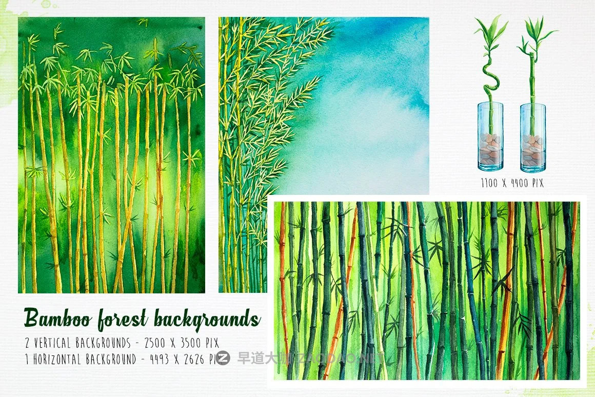 清爽绿色竹子手绘插画设计素材 Bamboo Watercolor Illustrations插图5 清爽绿色竹子手绘插画设计素材 Bamboo Watercolor Illustrations插图5