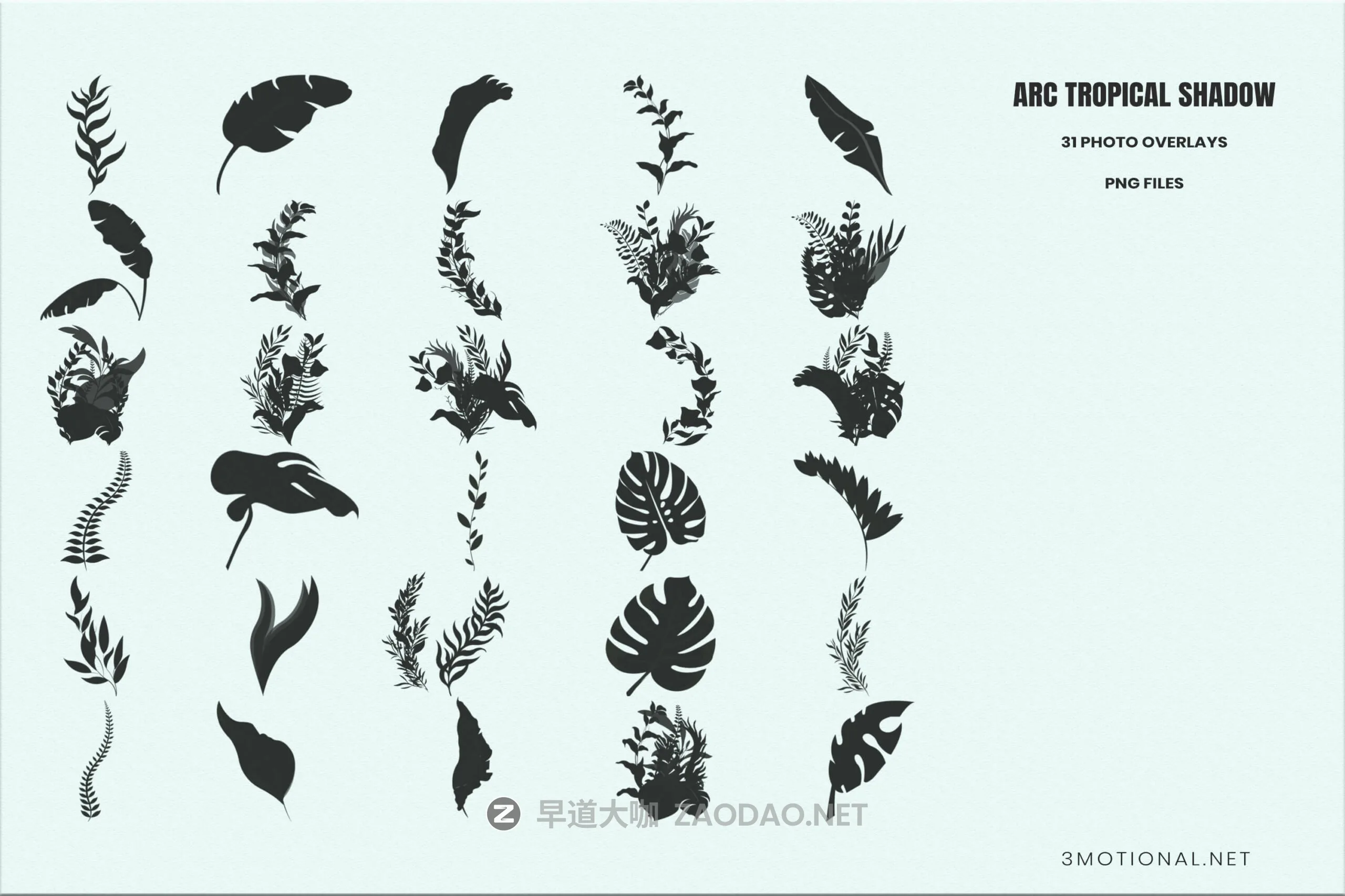 31种高清树叶阴影叠加层PNG免抠图片设计素材 31 Arc Real Tropical Shadow Photoshop Overlays插图8 31种高清树叶阴影叠加层PNG免抠图片设计素材 31 Arc Real Tropical Shadow Photoshop Overlays插图8