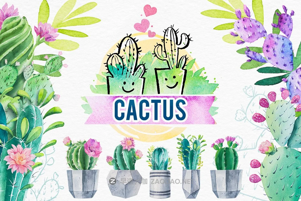 迷人仙人掌花卉手绘水彩画设计素材 Cactus Watercolor Illustrations插图 迷人仙人掌花卉手绘水彩画设计素材 Cactus Watercolor Illustrations插图