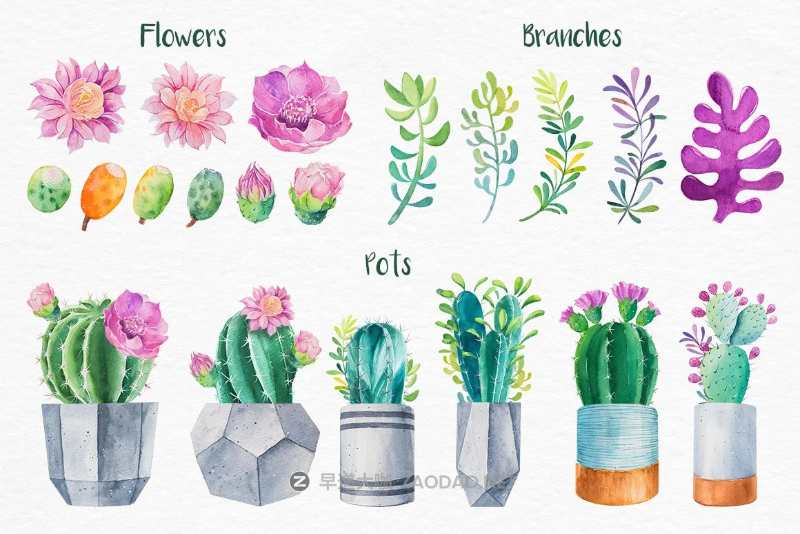 迷人仙人掌花卉手绘水彩画设计素材 Cactus Watercolor Illustrations插图3 迷人仙人掌花卉手绘水彩画设计素材 Cactus Watercolor Illustrations插图3