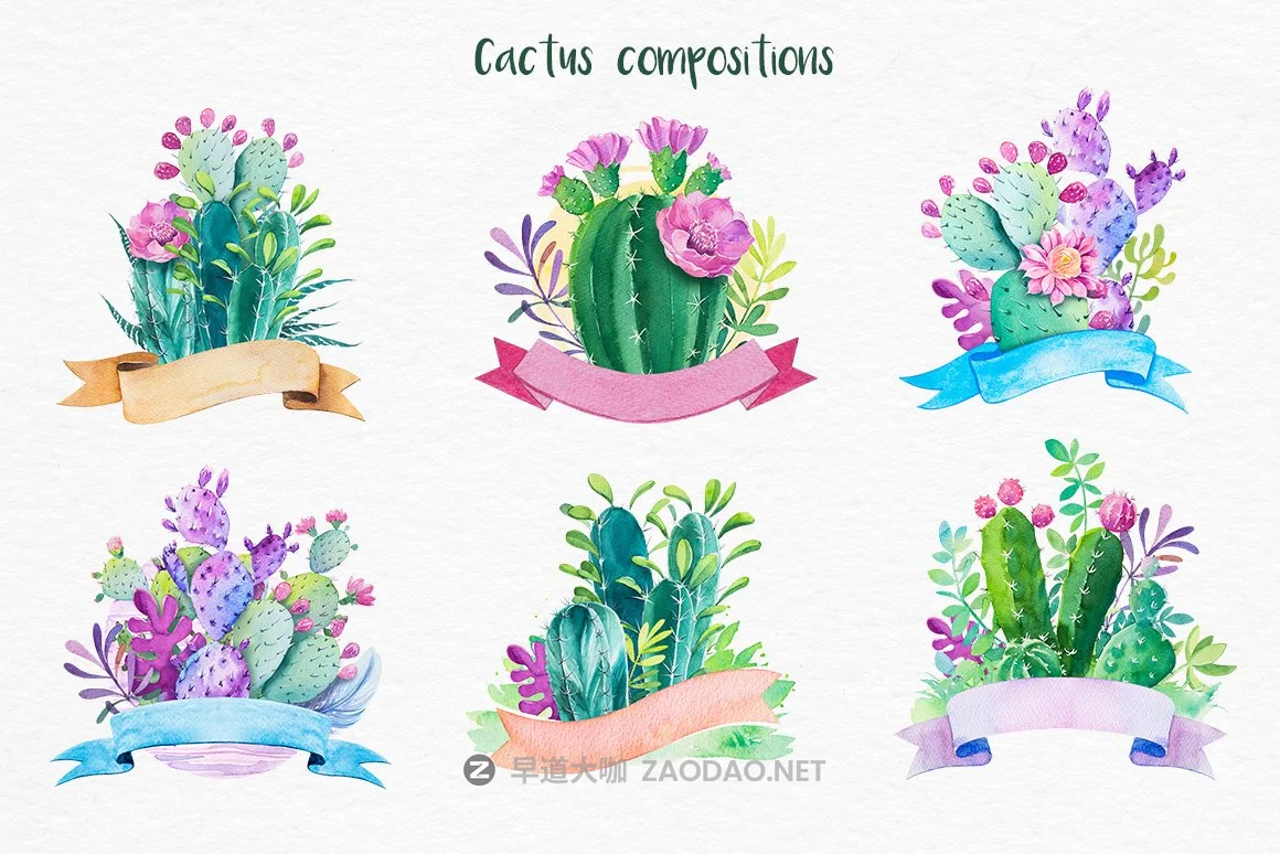 迷人仙人掌花卉手绘水彩画设计素材 Cactus Watercolor Illustrations插图5 迷人仙人掌花卉手绘水彩画设计素材 Cactus Watercolor Illustrations插图5