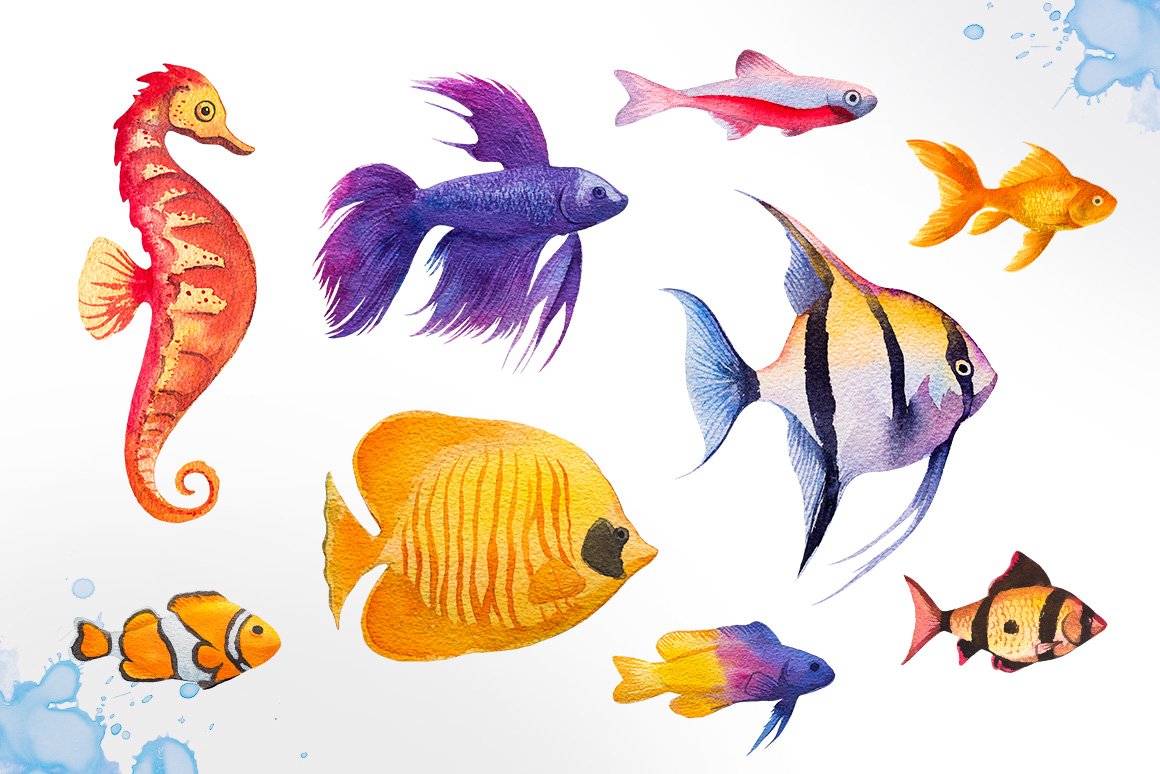 鲜亮多彩水族馆鱼类手绘水彩画设计素材aquariumfisheswatercolor
