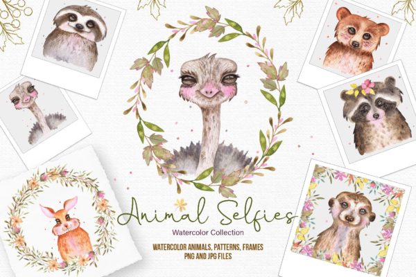 高清植物花朵动物手绘水彩画PNG免抠图片素材 Watercolor Animal Selfies