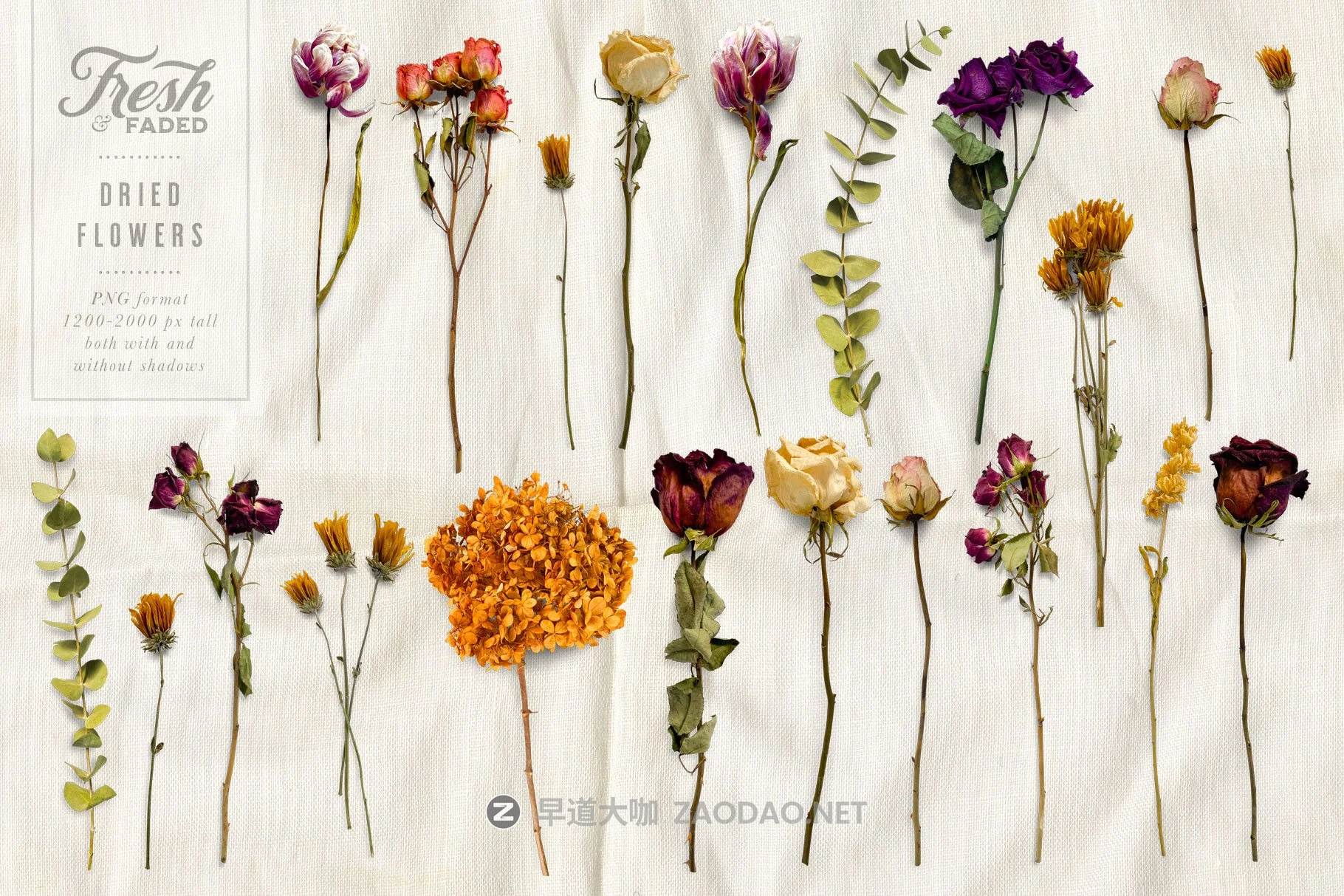 高清干燥花朵叶子叠加层PS设计素材 Fresh & Dried Flower Flat Lay插图1 高清干燥花朵叶子叠加层PS设计素材 Fresh & Dried Flower Flat Lay插图1