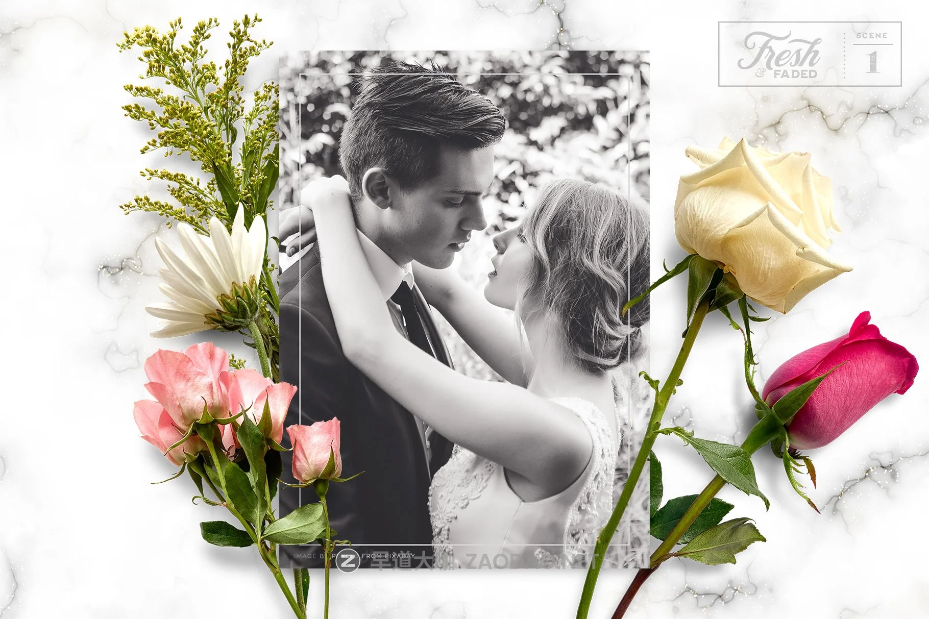 高清干燥花朵叶子叠加层PS设计素材 Fresh & Dried Flower Flat Lay插图2 高清干燥花朵叶子叠加层PS设计素材 Fresh & Dried Flower Flat Lay插图2