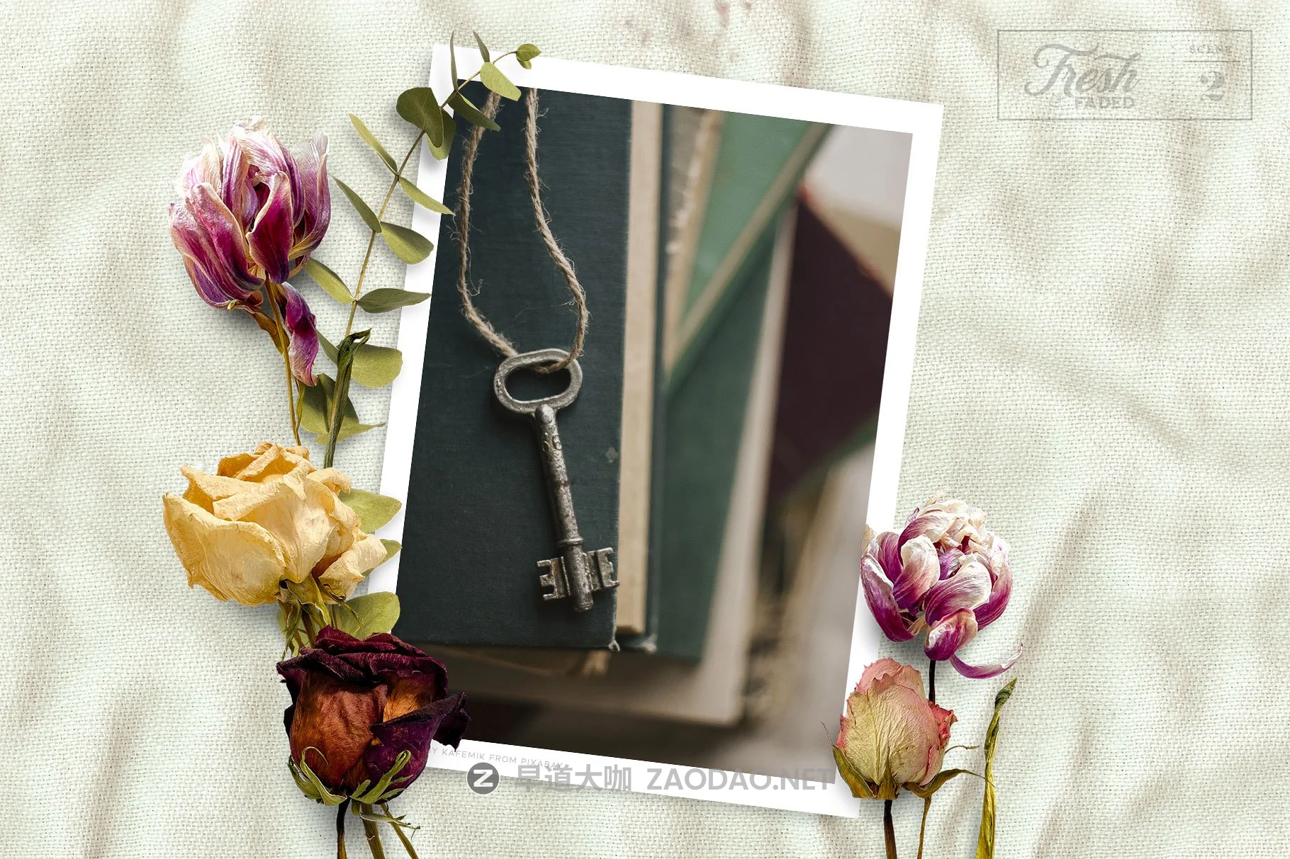 高清干燥花朵叶子叠加层PS设计素材 Fresh & Dried Flower Flat Lay插图4 高清干燥花朵叶子叠加层PS设计素材 Fresh & Dried Flower Flat Lay插图4