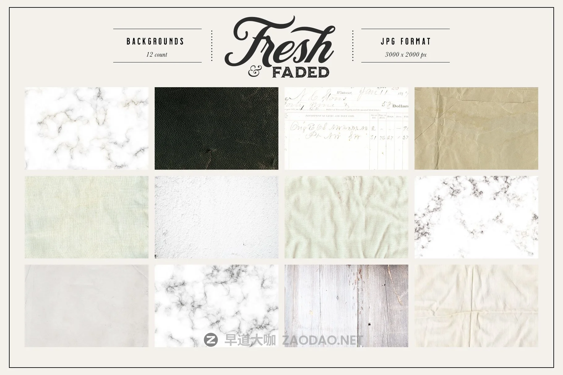 高清干燥花朵叶子叠加层PS设计素材 Fresh & Dried Flower Flat Lay插图7 高清干燥花朵叶子叠加层PS设计素材 Fresh & Dried Flower Flat Lay插图7