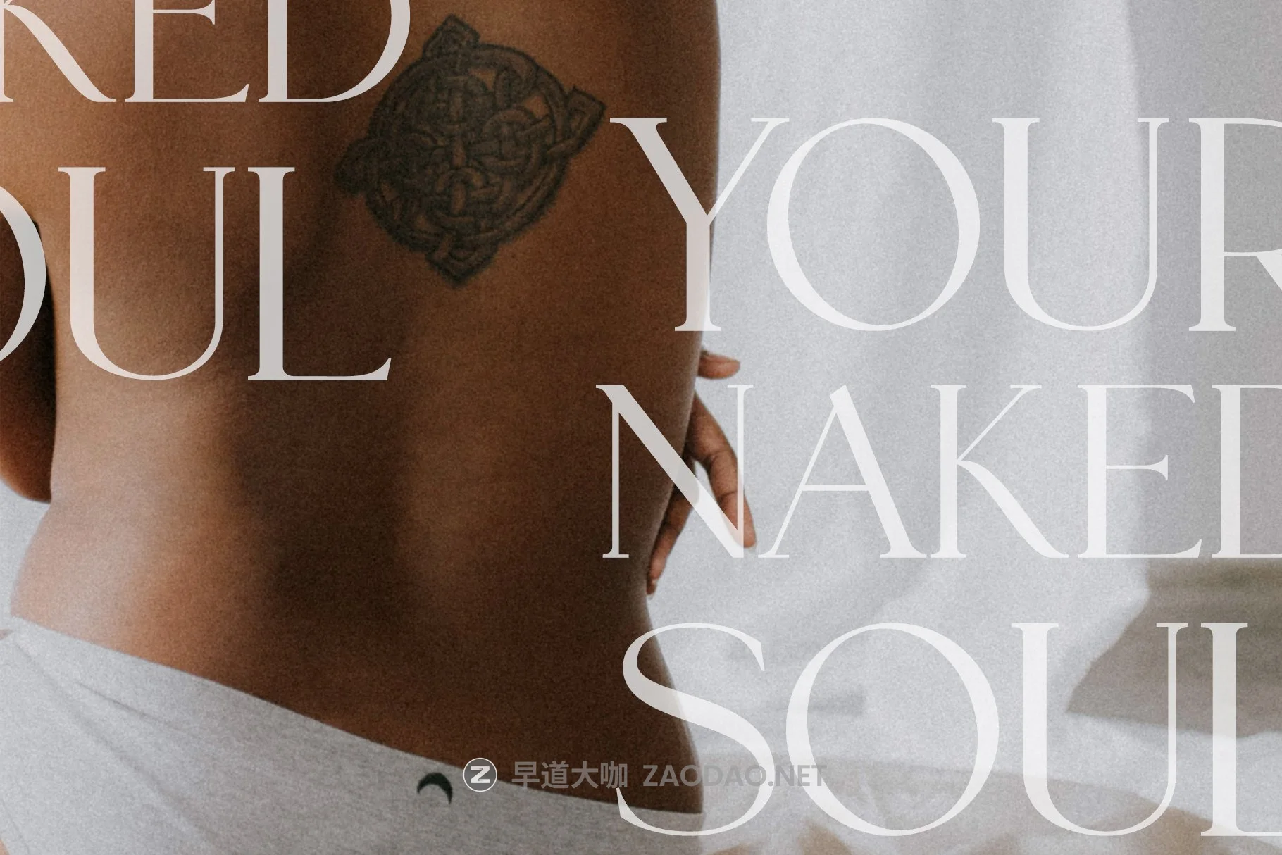 现代优雅杂志徽标Logo文字设计衬线英文字体素材 Le Grand Serif Ligature Font插图10 现代优雅杂志徽标Logo文字设计衬线英文字体素材 Le Grand Serif Ligature Font插图10