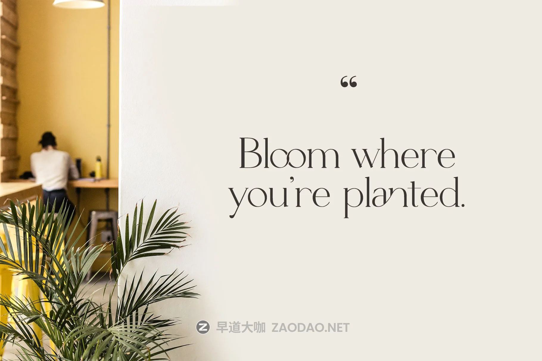 现代优雅杂志徽标Logo文字设计衬线英文字体素材 Le Grand Serif Ligature Font插图12 现代优雅杂志徽标Logo文字设计衬线英文字体素材 Le Grand Serif Ligature Font插图12