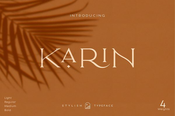 极简复古优雅海报标题品牌Logo文字设计衬线英文字体素材 Elegant Karin – Fashion Stylish Typeface