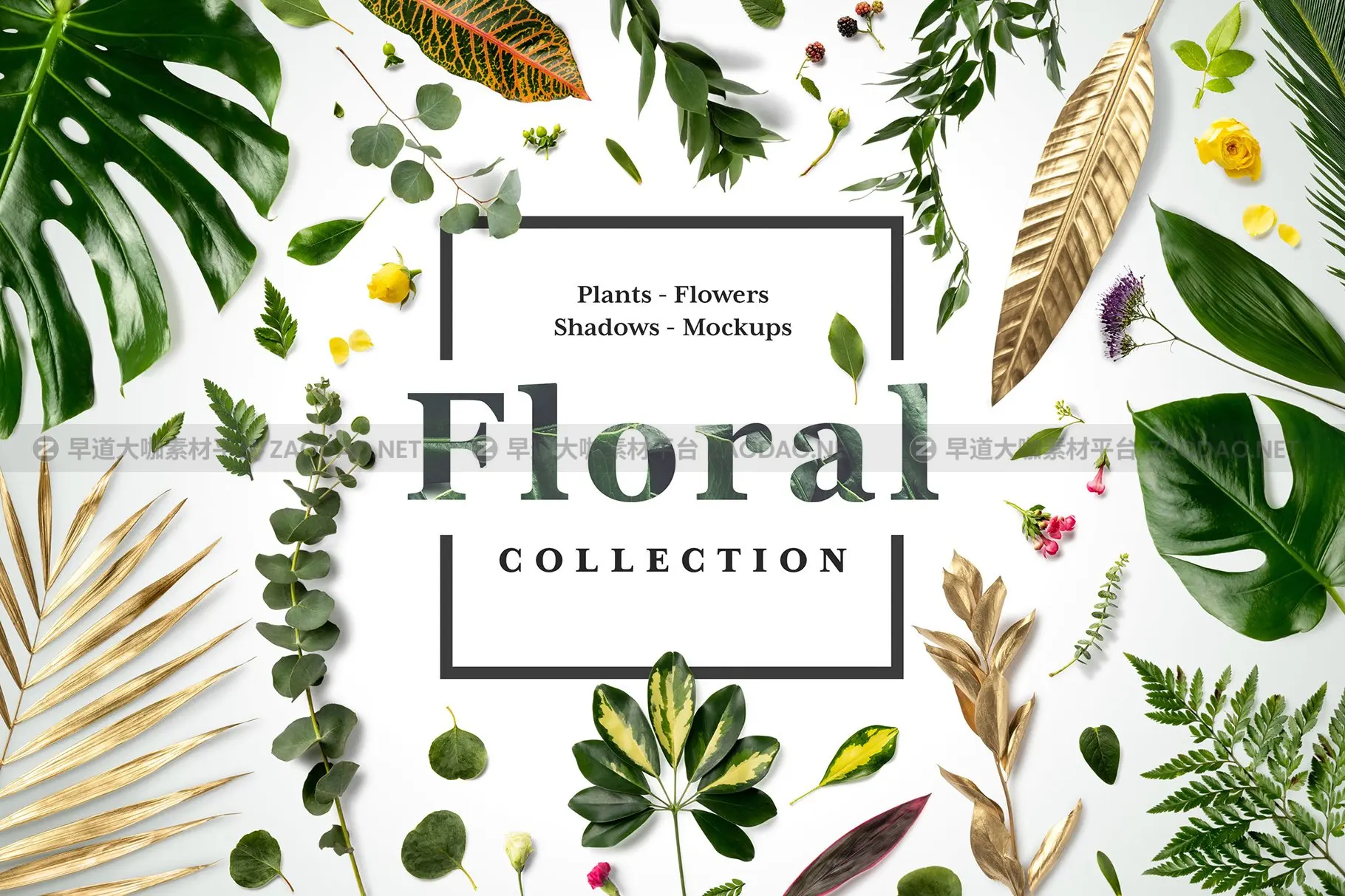 自然轻花卉植物品牌VI设计场景展示PS贴图样机模板素材 Floral Mockups Collection插图