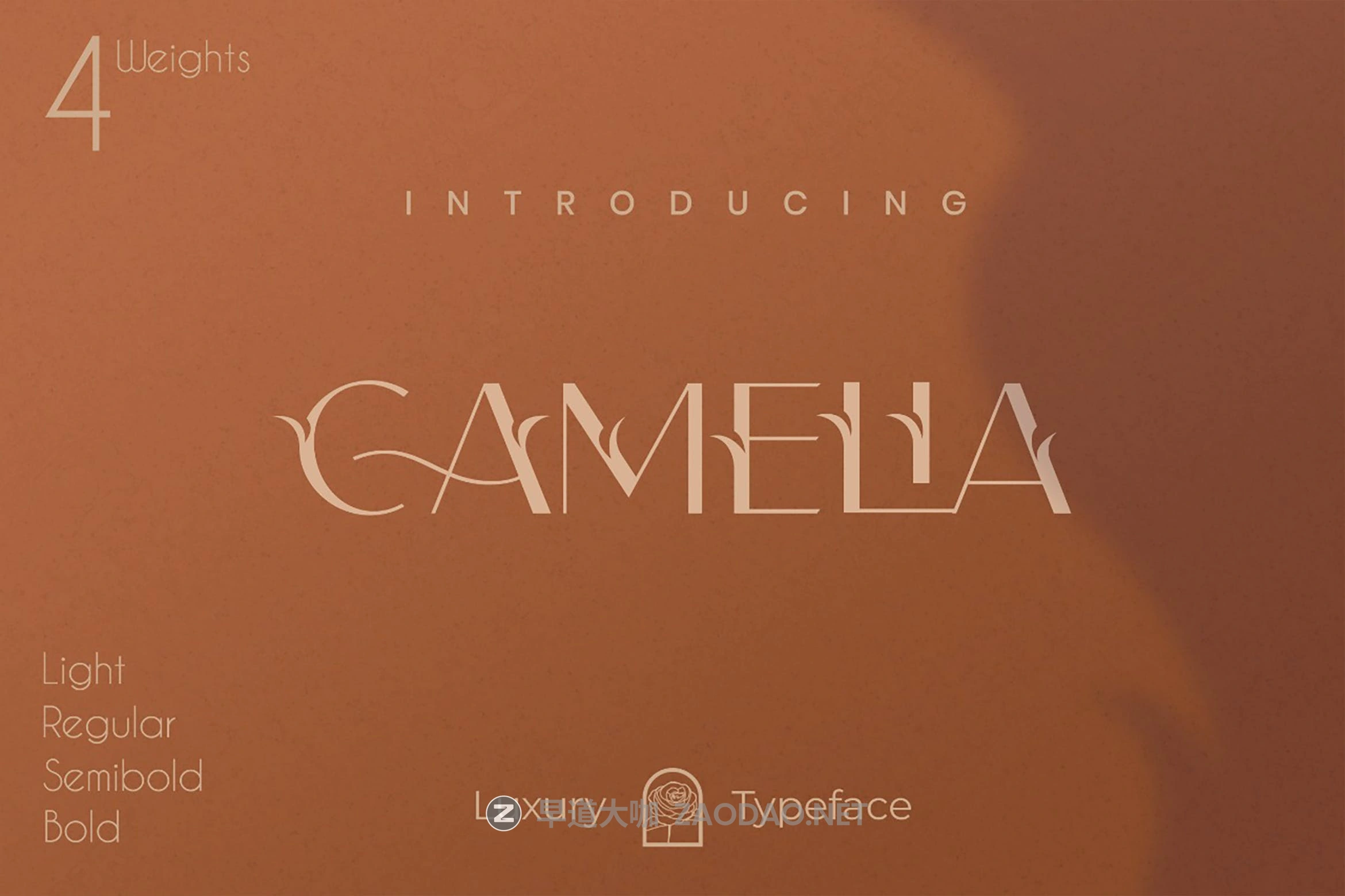 优雅连字杂志标题徽标品牌Logo文字设计装饰英文字体素材 Camelia Sans – Unique Florist Typeface插图 优雅连字杂志标题徽标品牌Logo文字设计装饰英文字体素材 Camelia Sans – Unique Florist Typeface插图
