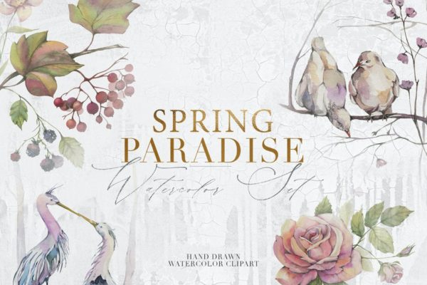 12款春季花卉鸟类手绘水彩画PNG透明图片素材 Spring Paradise Watercolor Clipart Set