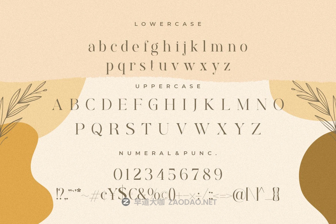 现代优雅标题徽标Logo文字设计衬线英文字体素材 Rostemary Elegant Serif插图9 现代优雅标题徽标Logo文字设计衬线英文字体素材 Rostemary Elegant Serif插图9