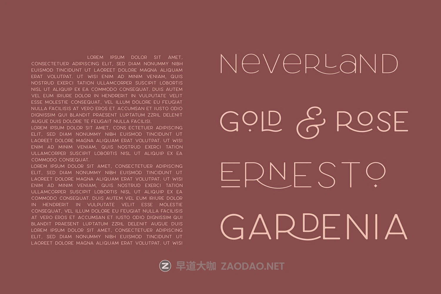 现代优雅圆角海报杂志标题徽标Logo文字设计无衬线英文字体素材 Larosa Sans Elegant Typeface插图11 现代优雅圆角海报杂志标题徽标Logo文字设计无衬线英文字体素材 Larosa Sans Elegant Typeface插图11