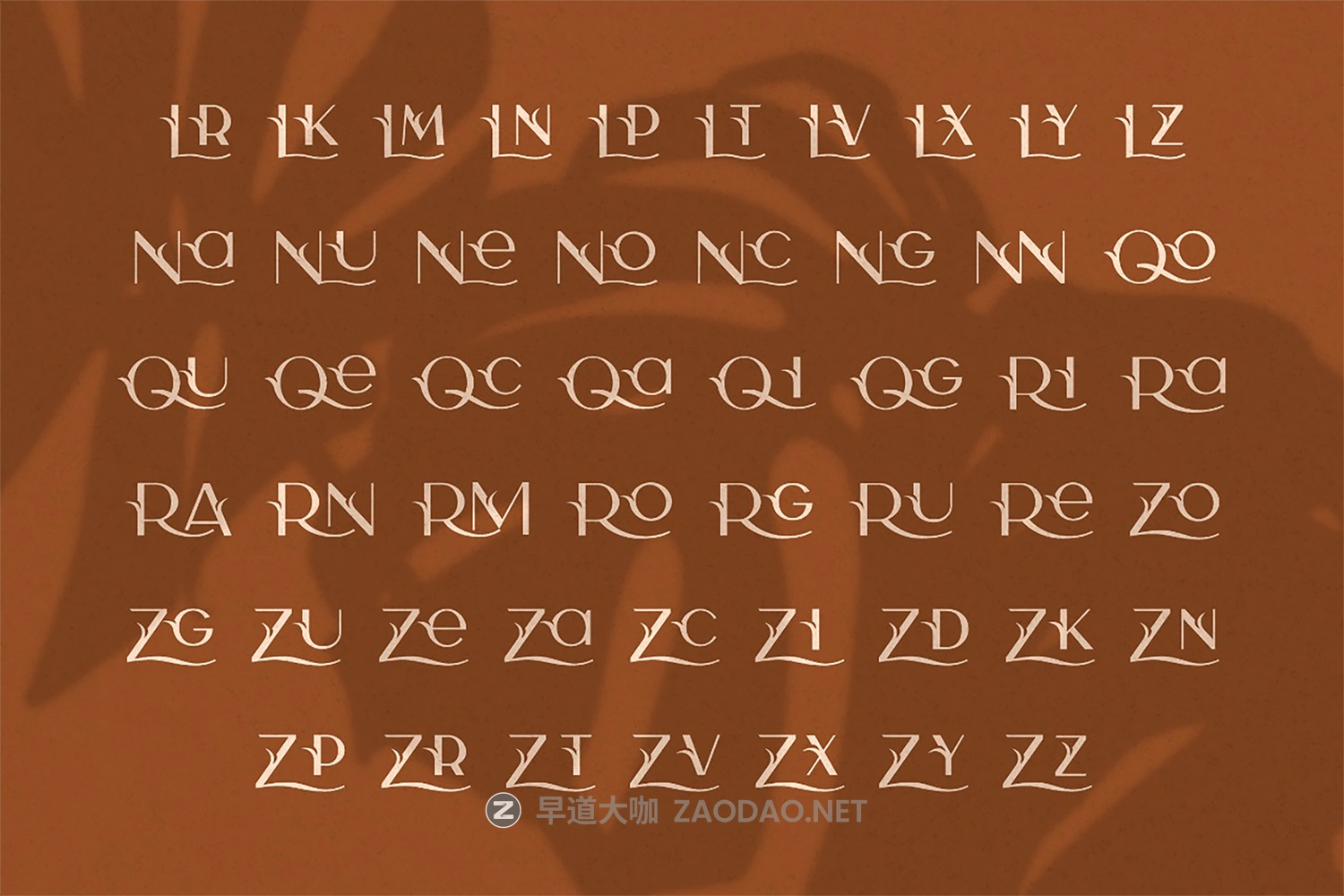 优雅连字杂志标题徽标品牌Logo文字设计装饰英文字体素材 Camelia Sans – Unique Florist Typeface插图12 优雅连字杂志标题徽标品牌Logo文字设计装饰英文字体素材 Camelia Sans – Unique Florist Typeface插图12