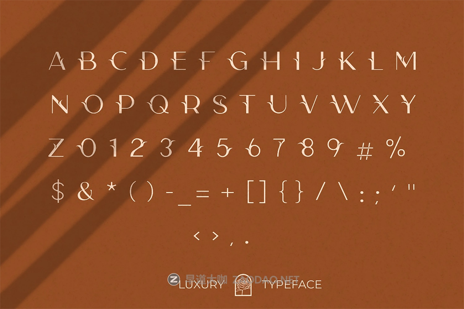 优雅连字杂志标题徽标品牌Logo文字设计装饰英文字体素材 Camelia Sans – Unique Florist Typeface插图13 优雅连字杂志标题徽标品牌Logo文字设计装饰英文字体素材 Camelia Sans – Unique Florist Typeface插图13