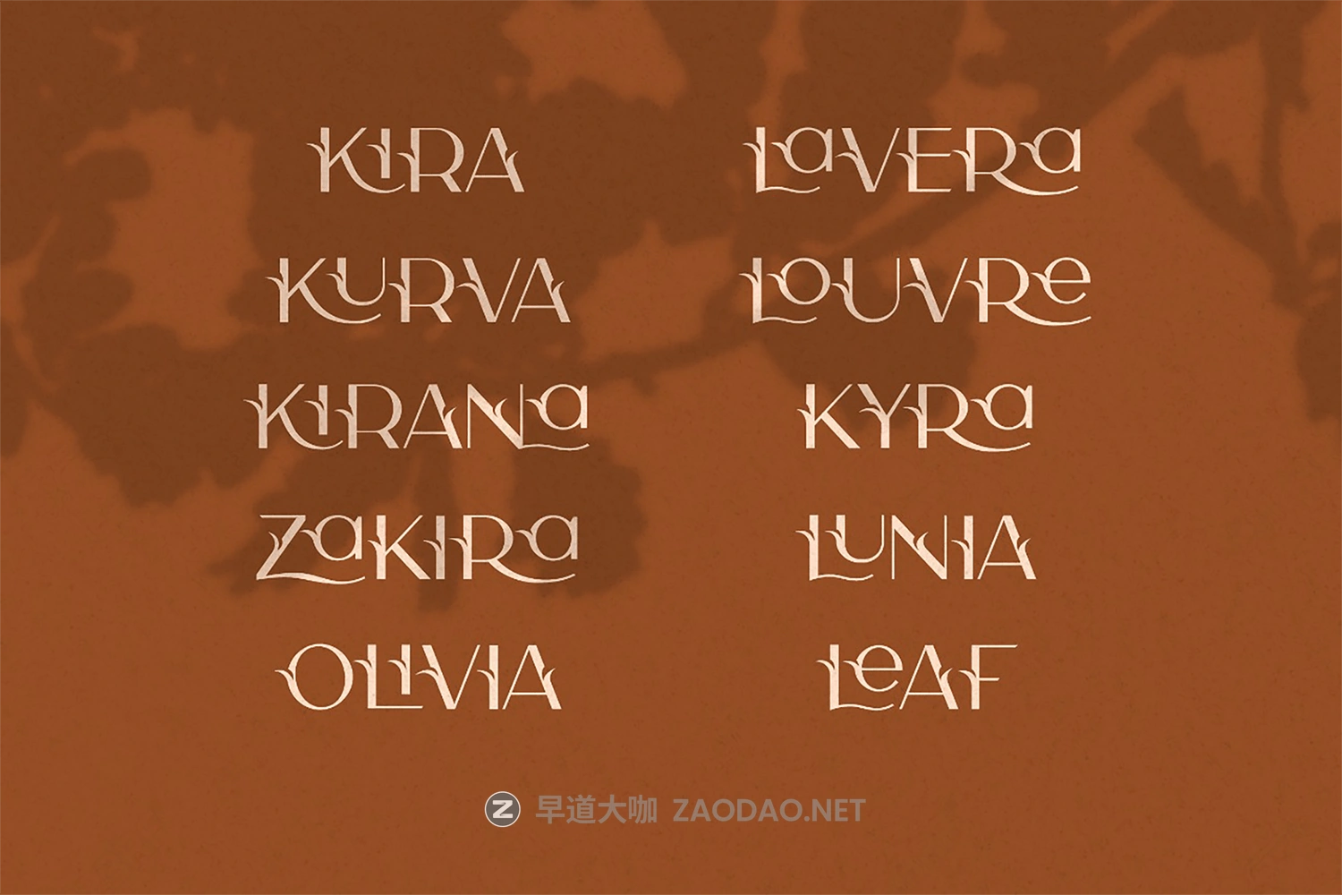 优雅连字杂志标题徽标品牌Logo文字设计装饰英文字体素材 Camelia Sans – Unique Florist Typeface插图14 优雅连字杂志标题徽标品牌Logo文字设计装饰英文字体素材 Camelia Sans – Unique Florist Typeface插图14