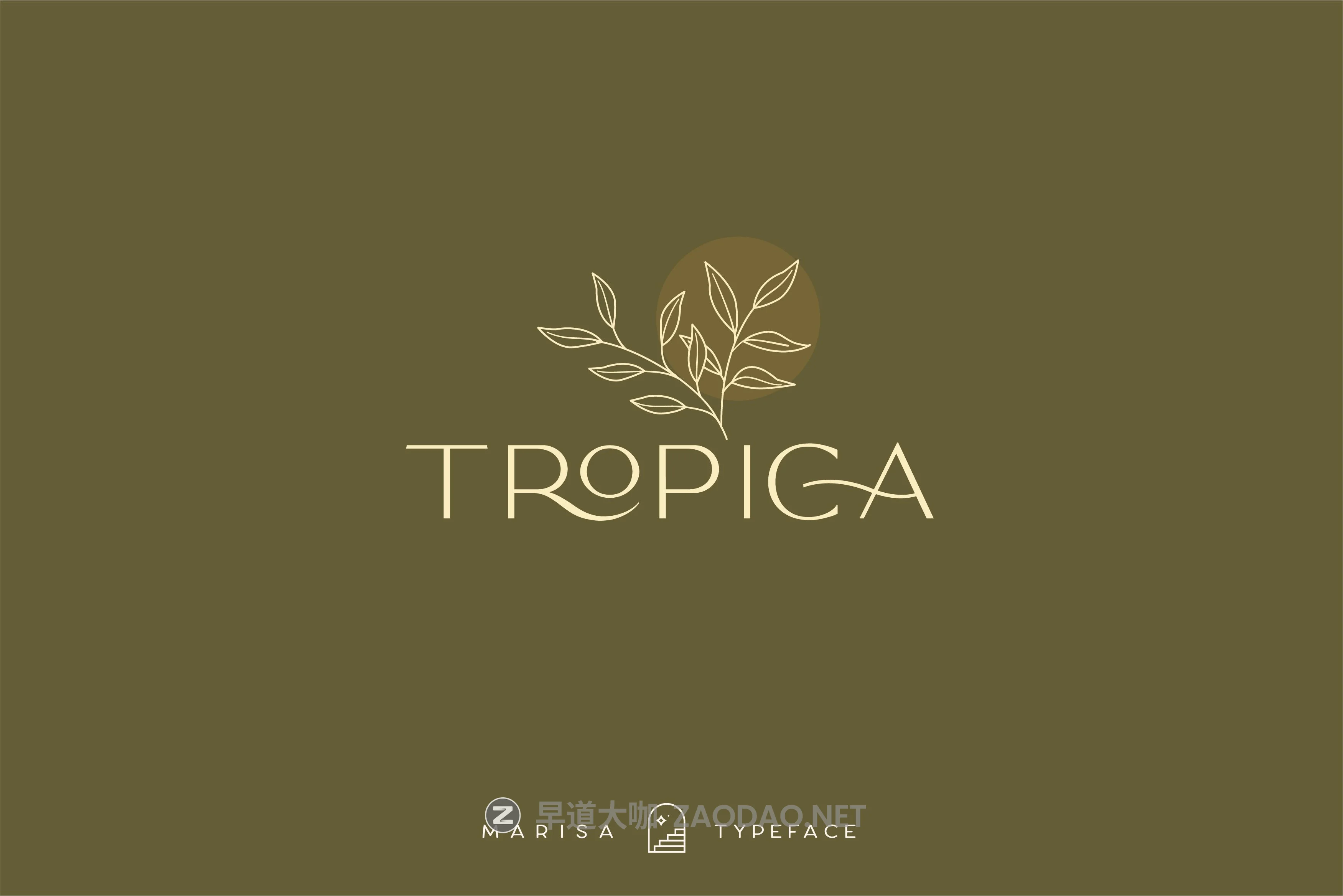 复古优雅品牌Logo海报标题装饰英文字体 Classy Marisa – Elegant Typeface插图17 复古优雅品牌Logo海报标题装饰英文字体 Classy Marisa – Elegant Typeface插图17