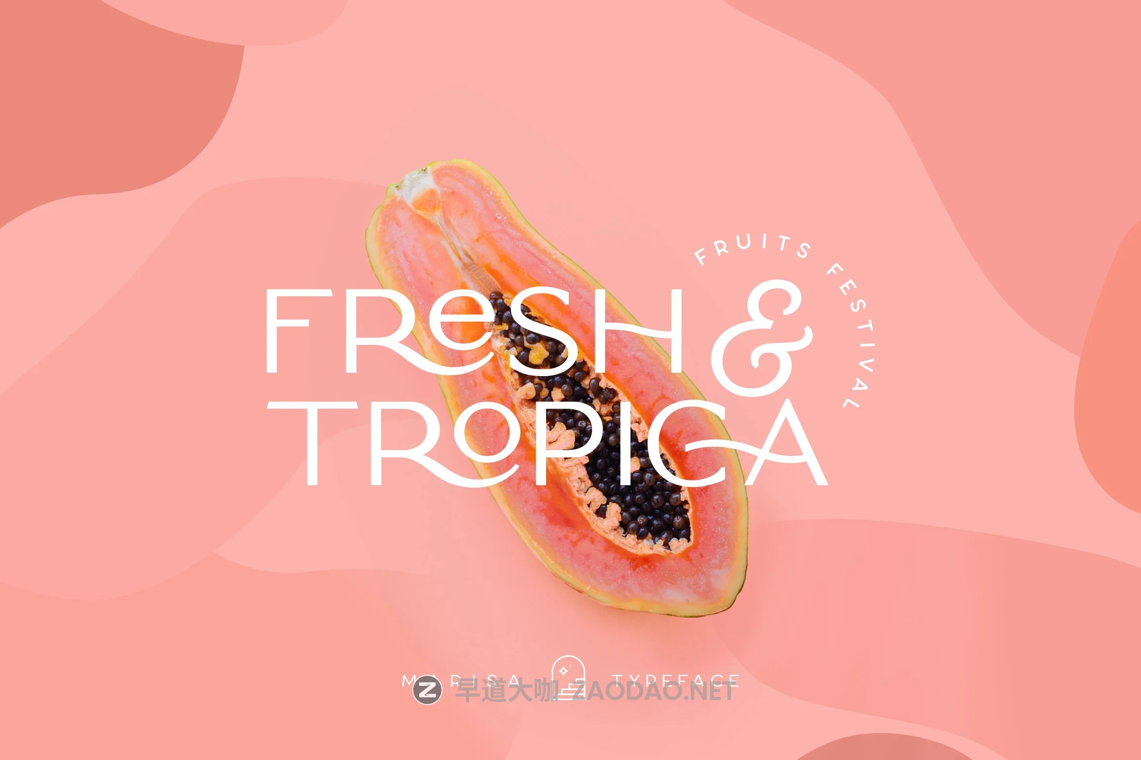 复古优雅品牌Logo海报标题装饰英文字体 Classy Marisa – Elegant Typeface插图3 复古优雅品牌Logo海报标题装饰英文字体 Classy Marisa – Elegant Typeface插图3