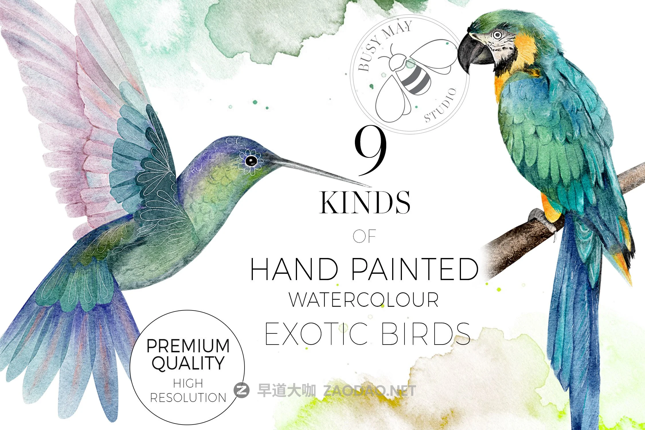 异国情调热带鸟类手绘水彩剪贴画PNG图片素材 Watercolor Exotic Birds Tropical PNG插图3 异国情调热带鸟类手绘水彩剪贴画PNG图片素材 Watercolor Exotic Birds Tropical PNG插图3