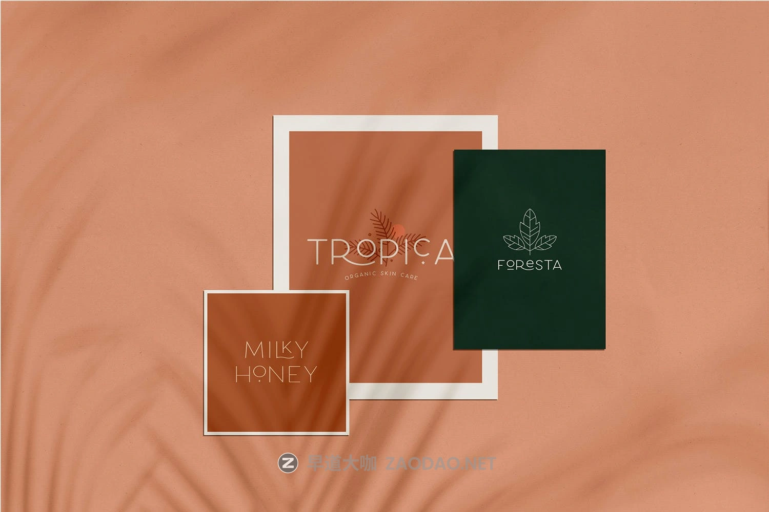 现代优雅圆角海报杂志标题徽标Logo文字设计无衬线英文字体素材 Larosa Sans Elegant Typeface插图5 现代优雅圆角海报杂志标题徽标Logo文字设计无衬线英文字体素材 Larosa Sans Elegant Typeface插图5