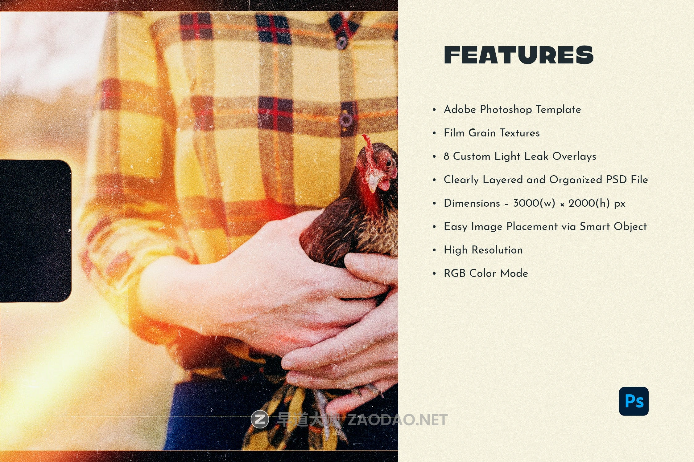 潮流复古自然光漏光杂点照片处理叠加层PS设计素材 Film Grain Light Leak Photo Template插图6 潮流复古自然光漏光杂点照片处理叠加层PS设计素材 Film Grain Light Leak Photo Template插图6