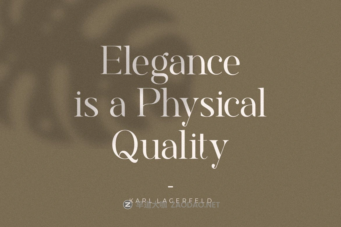 现代优雅标题徽标Logo文字设计衬线英文字体素材 Rostemary Elegant Serif插图7 现代优雅标题徽标Logo文字设计衬线英文字体素材 Rostemary Elegant Serif插图7