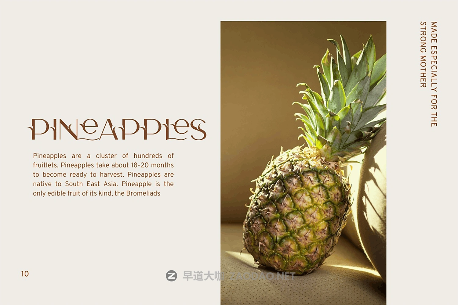 优雅连字杂志标题徽标品牌Logo文字设计装饰英文字体素材 Camelia Sans – Unique Florist Typeface插图8 优雅连字杂志标题徽标品牌Logo文字设计装饰英文字体素材 Camelia Sans – Unique Florist Typeface插图8