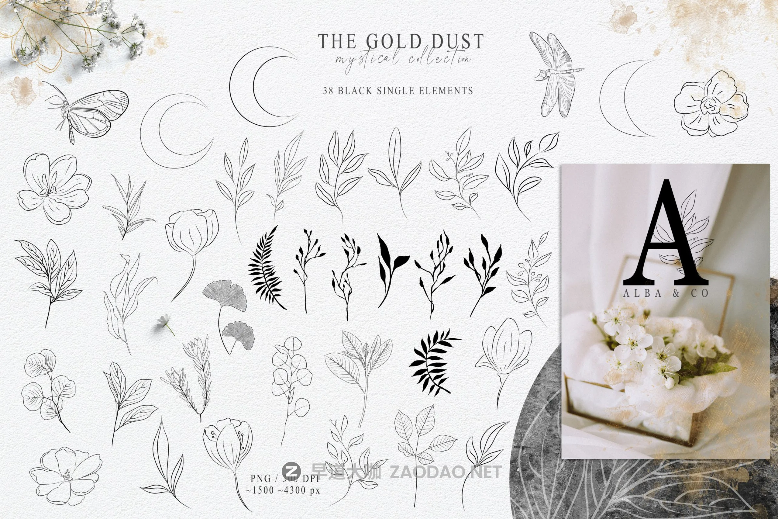 180款优雅水墨水彩金粉金色花卉树木动物线条背景图案图片设计素材 Watercolor The Gold Dust Collection插图6 180款优雅水墨水彩金粉金色花卉树木动物线条背景图案图片设计素材 Watercolor The Gold Dust Collection插图6