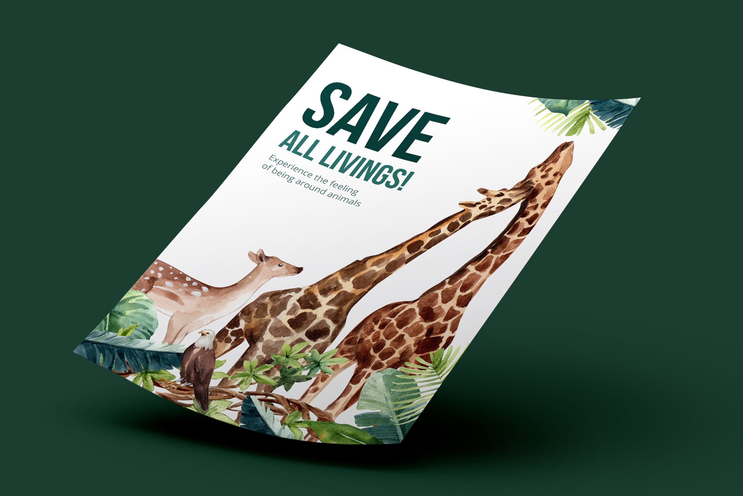 动物园野生动物手绘剪贴画PS设计素材 Zoo The Animals Wildlife Watercolor插图11