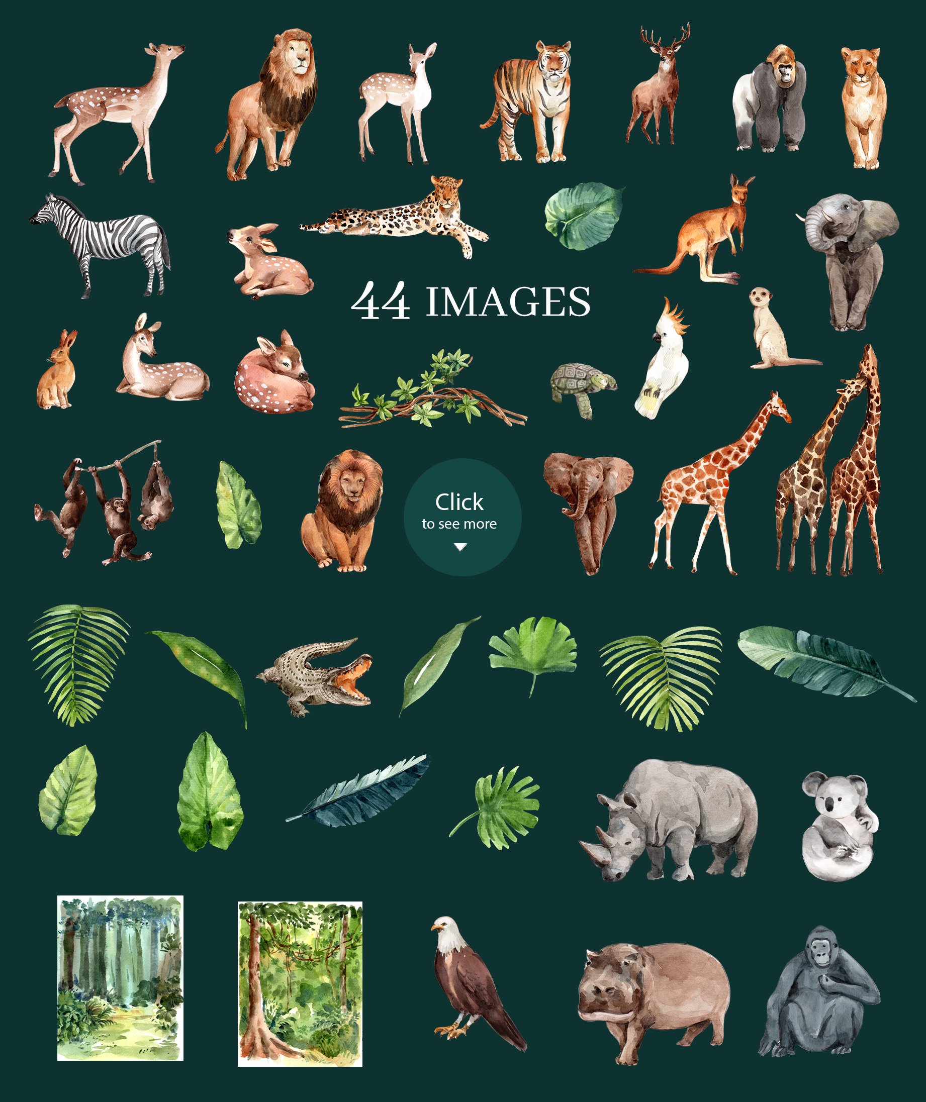 动物园野生动物手绘剪贴画PS设计素材 Zoo The Animals Wildlife Watercolor插图6