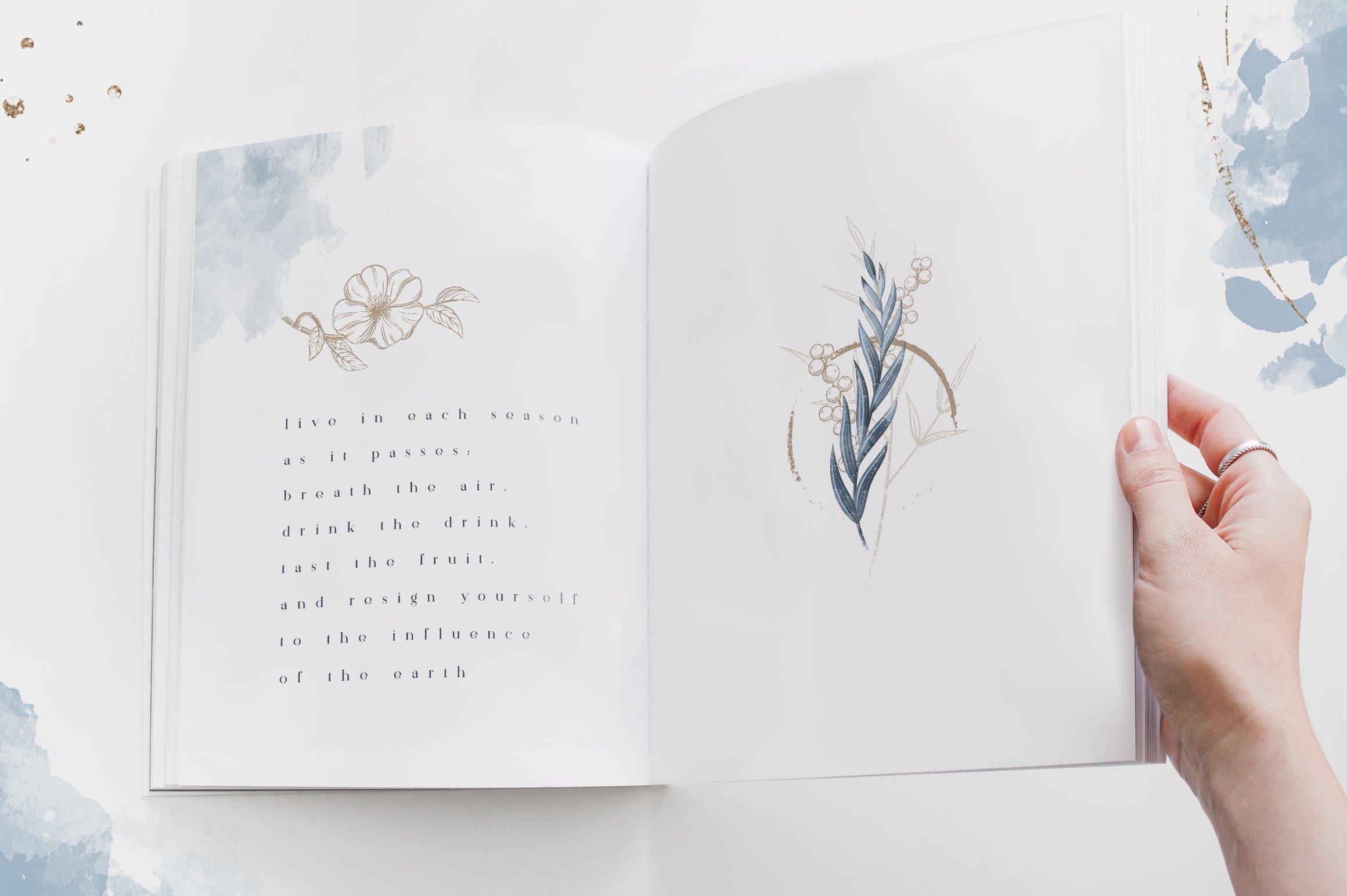蓝色金色字母动物树叶花卉设计PNG透明图片素材合集 Fleur Du Froid Graphic Collection插图3