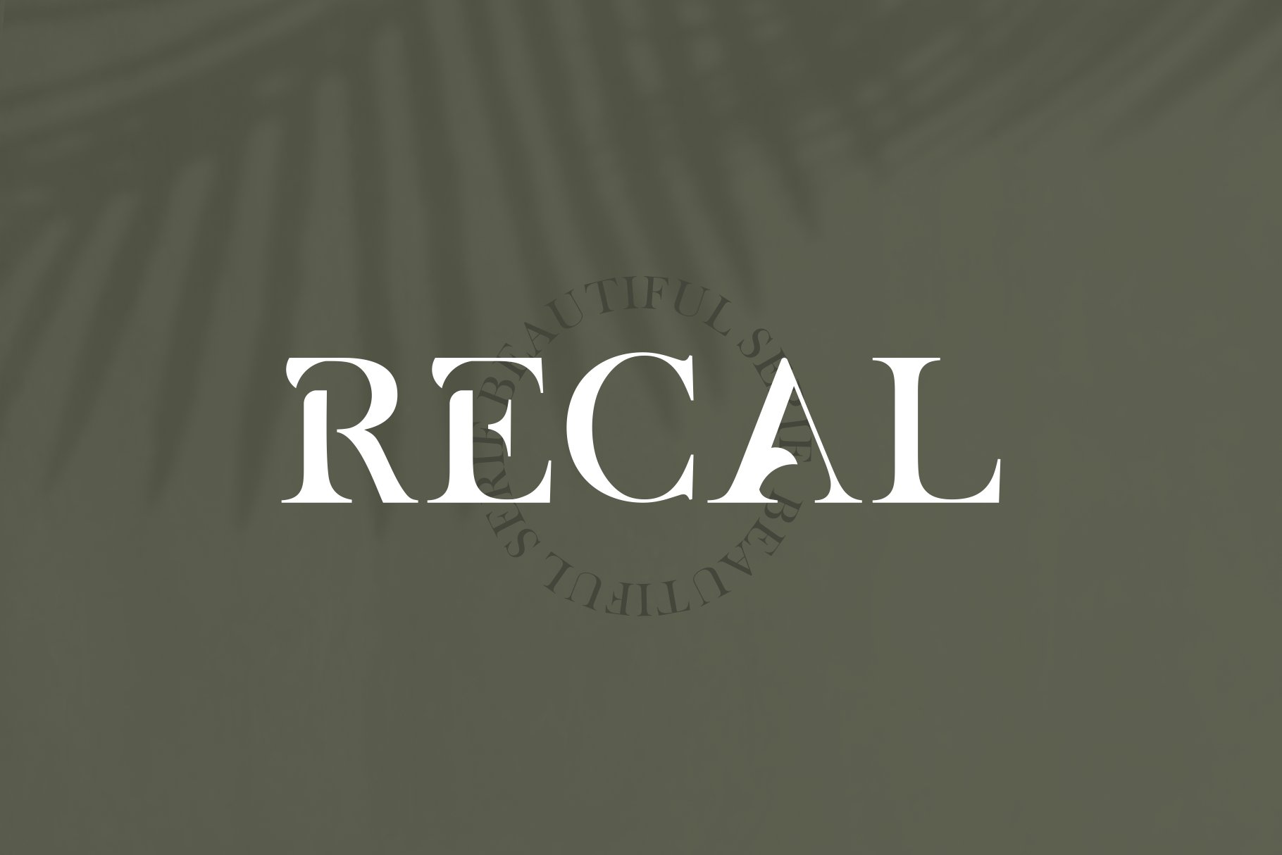 精美时尚杂志标题logo字体设计衬线英文字体素材 albra - a beautiful