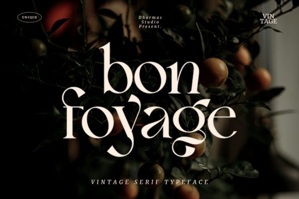 复古现代杂志标题徽标Logo字体设计衬线英文字体素材 Bon Foyage Serif Font