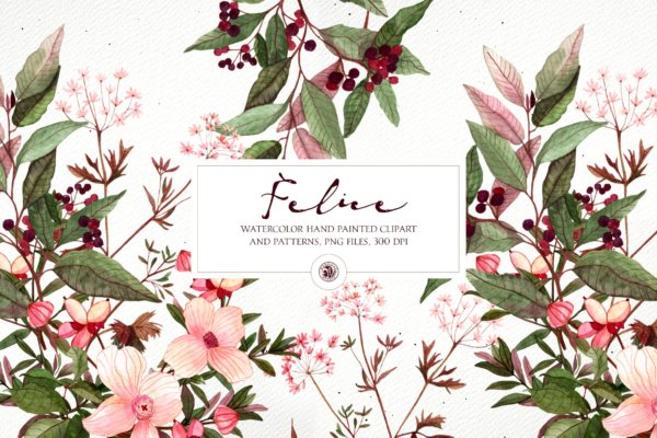 16款高清花卉花圈手绘水彩画无缝隙图案PNG透明图片素材 Felice – Watercolor Floral Set
