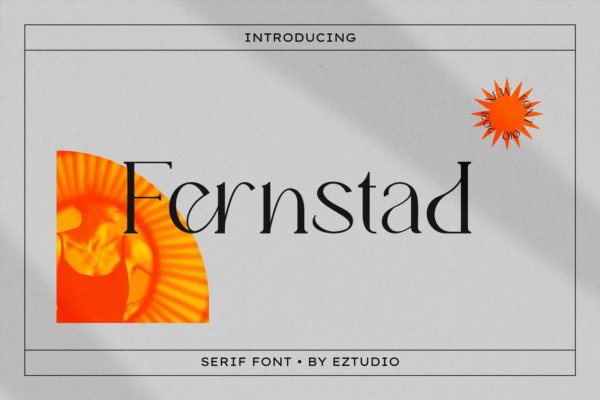 优雅轻奢现代时尚Logo杂志海报标题衬线英文字体素材 Fernstad Elegant Serif Font