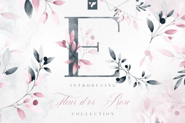 时尚优雅玫瑰金字母花卉树叶手绘水彩画PNG透明图片素材 Fleur Dor Rose Graphic Collection