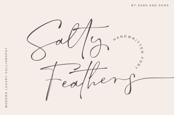 现代优雅标题品牌Logo设计大写手写签名英文字体素材 Salty Feathers – Modern Script