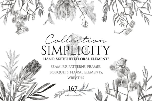 167款铅笔素描花草树叶手绘插画PNG透明背景图片设计素材 Simplicity Hand Sketched Collection