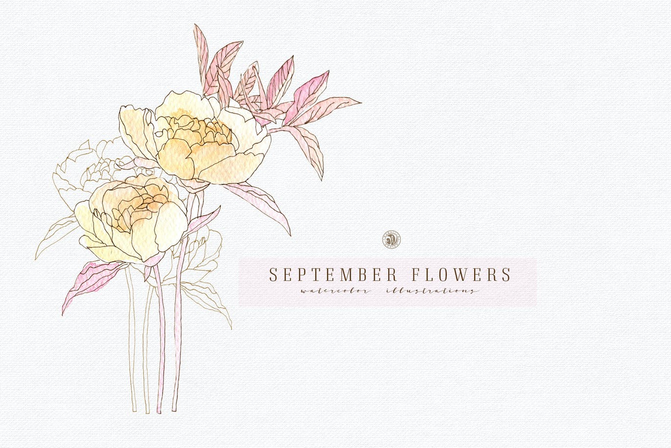 九月花花卉手绘水彩画png透明图片素材september Flowers Vol 2 早道大咖