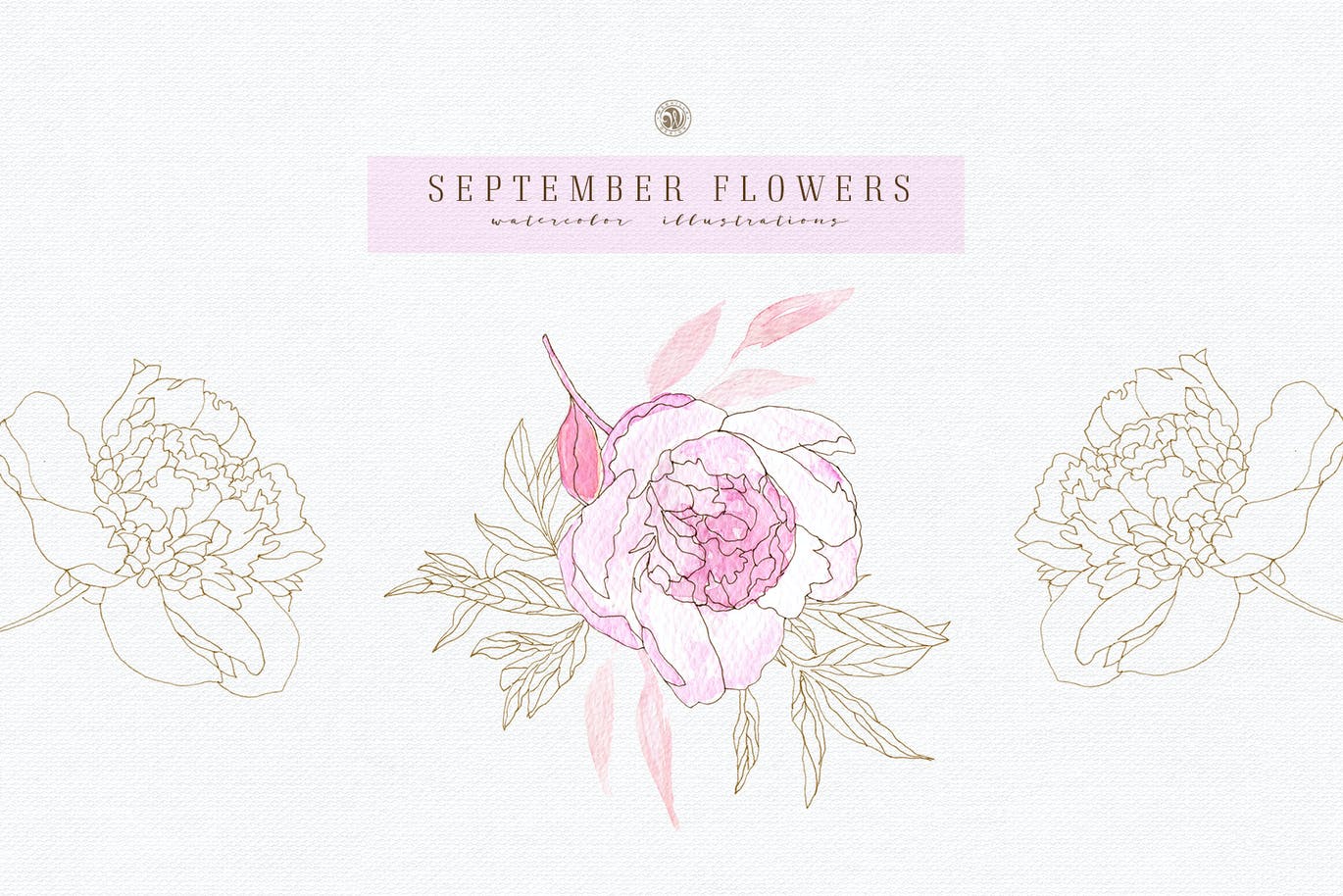 九月花花卉手绘水彩画png透明图片素材september Flowers Vol 2 早道大咖