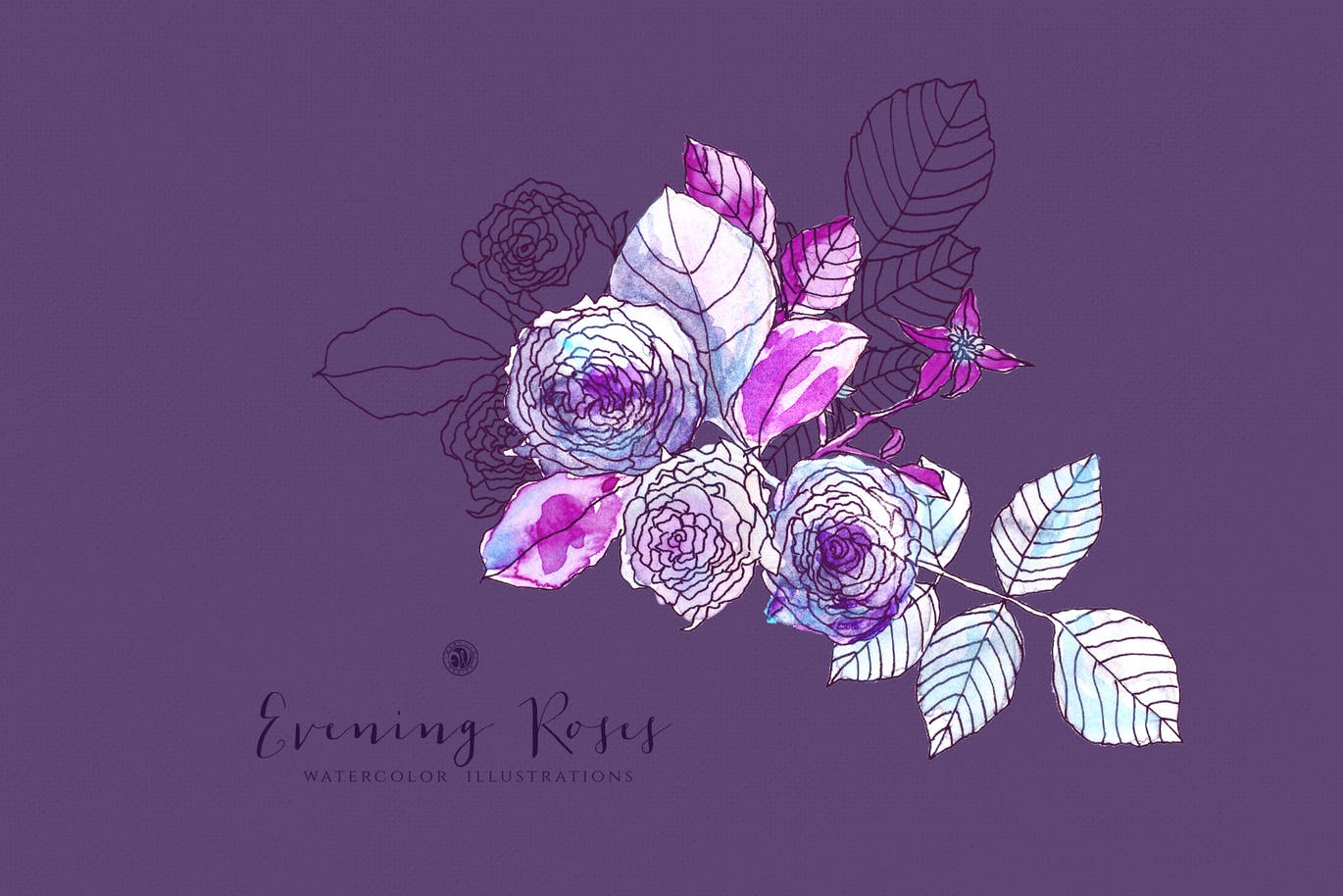 玫瑰花手绘插画png透明图片设计素材 evening roses