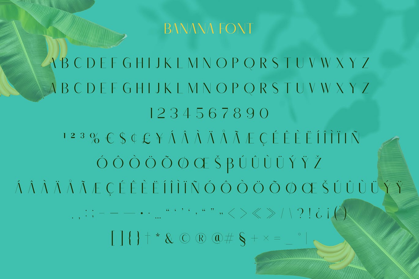 现代时尚品牌徽标Logo设计手写签名&无衬线英文字体素材 Banana Carolline插图7