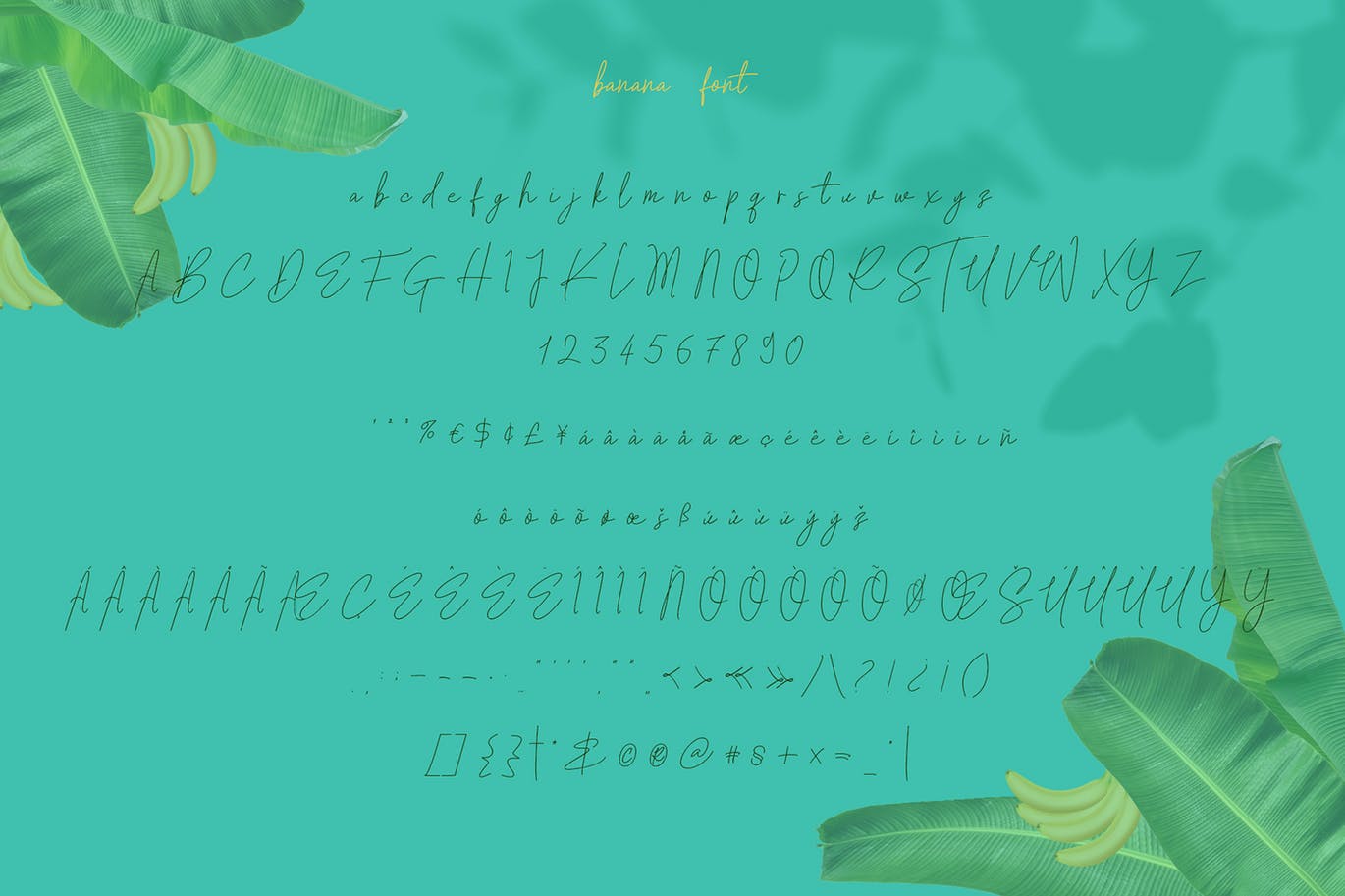 现代时尚品牌徽标Logo设计手写签名&无衬线英文字体素材 Banana Carolline插图8
